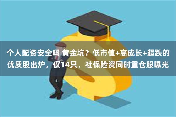 个人配资安全吗 黄金坑？低市值+高成长+超跌的优质股出炉，仅14只，社保险资同时重仓股曝光