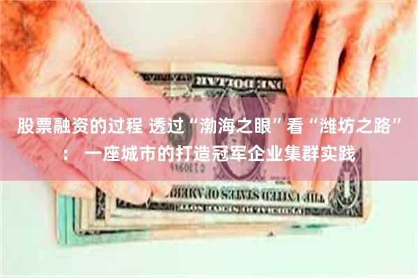 股票融资的过程 透过“渤海之眼”看“潍坊之路”： 一座城市的打造冠军企业集群实践