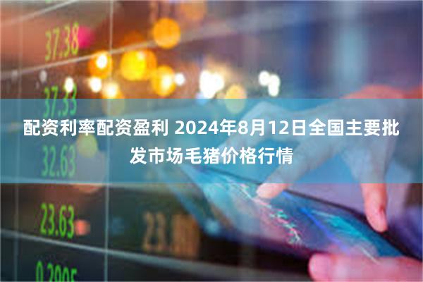 配资利率配资盈利 2024年8月12日全国主要批发市场毛猪价格行情