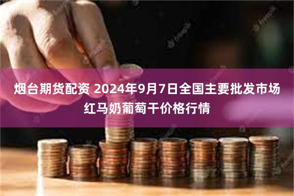 烟台期货配资 2024年9月7日全国主要批发市场红马奶葡萄干价格行情