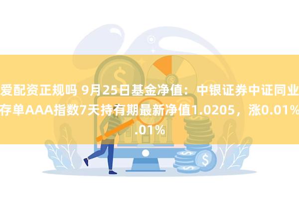 爱配资正规吗 9月25日基金净值：中银证券中证同业存单AAA指数7天持有期最新净值1.0205，涨0.01%