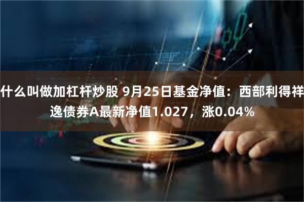 什么叫做加杠杆炒股 9月25日基金净值：西部利得祥逸债券A最新净值1.027，涨0.04%