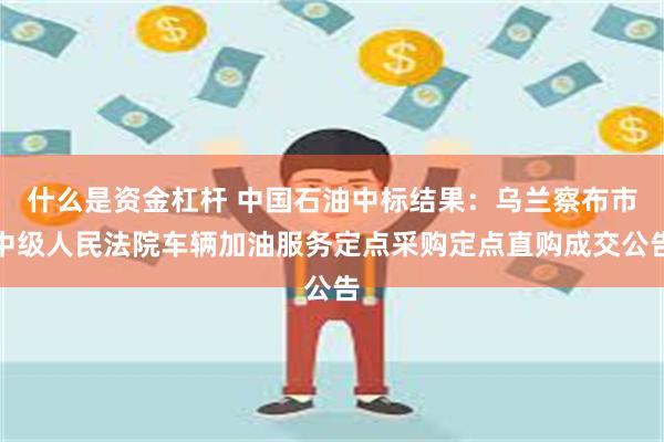 什么是资金杠杆 中国石油中标结果：乌兰察布市中级人民法院车辆加油服务定点采购定点直购成交公告