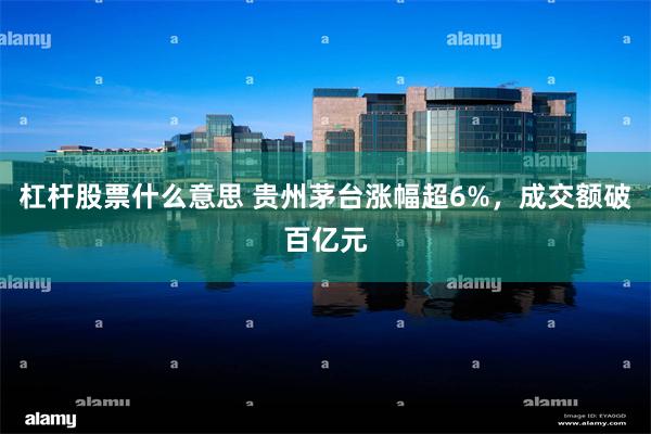 杠杆股票什么意思 贵州茅台涨幅超6%，成交额破百亿元