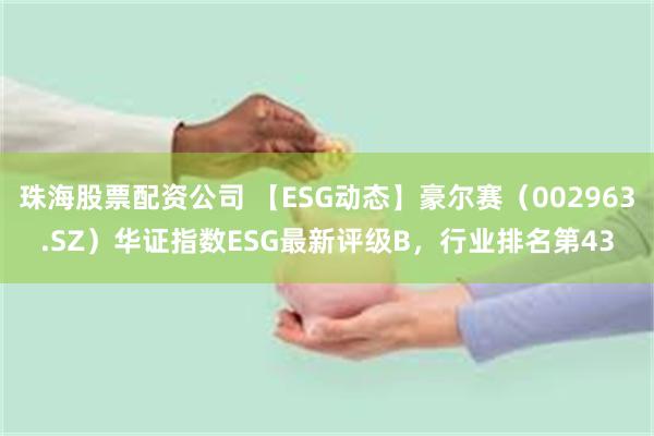 珠海股票配资公司 【ESG动态】豪尔赛（002963.SZ）华证指数ESG最新评级B，行业排名第43