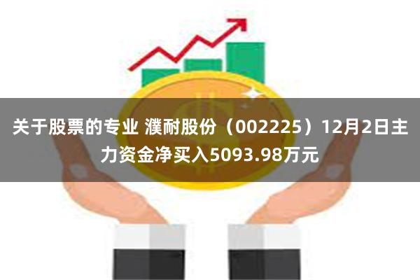 关于股票的专业 濮耐股份（002225）12月2日主力资金净买入5093.98万元