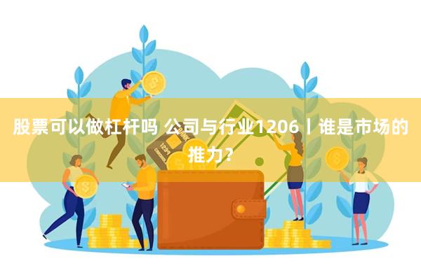 股票可以做杠杆吗 公司与行业1206丨谁是市场的推力？