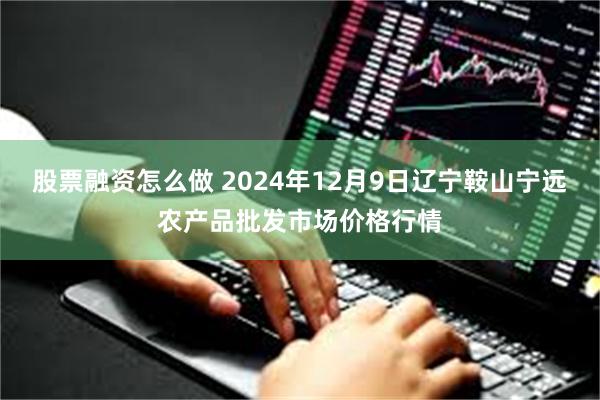 股票融资怎么做 2024年12月9日辽宁鞍山宁远农产品批发市场价格行情