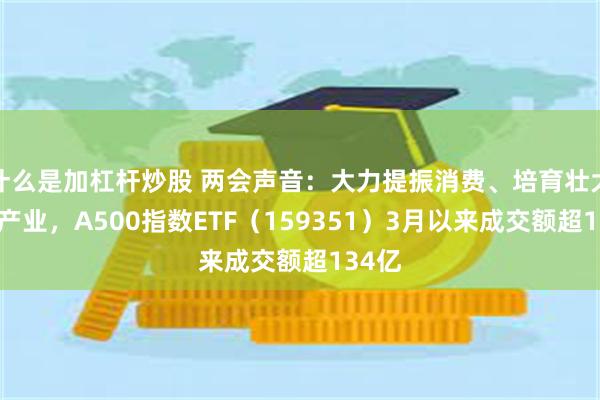 什么是加杠杆炒股 两会声音：大力提振消费、培育壮大新兴产业，A500指数ETF（159351）3月以来成交额超134亿